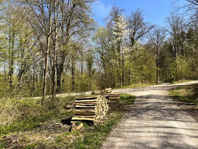 Foto: Heide Böllinger aus Bad Friedrichshall