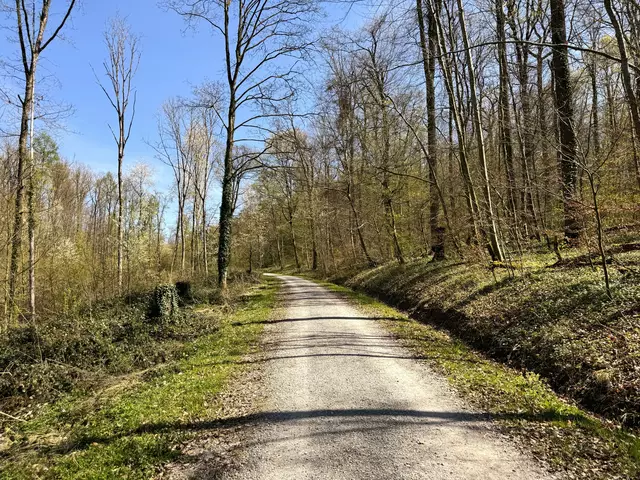 Foto: Heide Böllinger aus Bad Friedrichshall