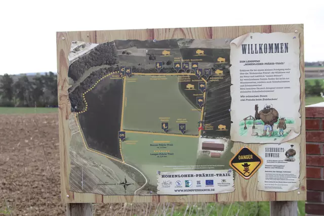 Bisons in Hohenlohe🦬🦬🦬 | Foto: Ralf Röser