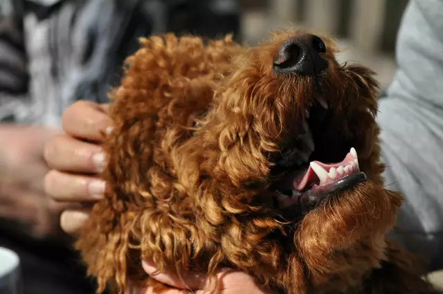 Nicht aufhören. | Foto: Daniela Somers