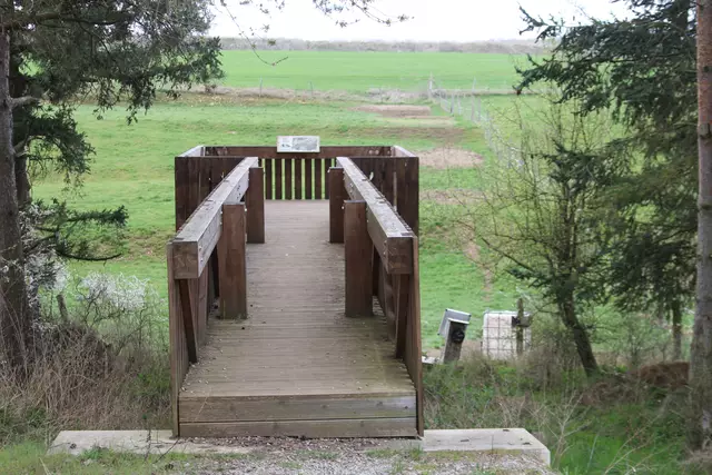 Bisons in Hohenlohe🦬🦬🦬 | Foto: Ralf Röser