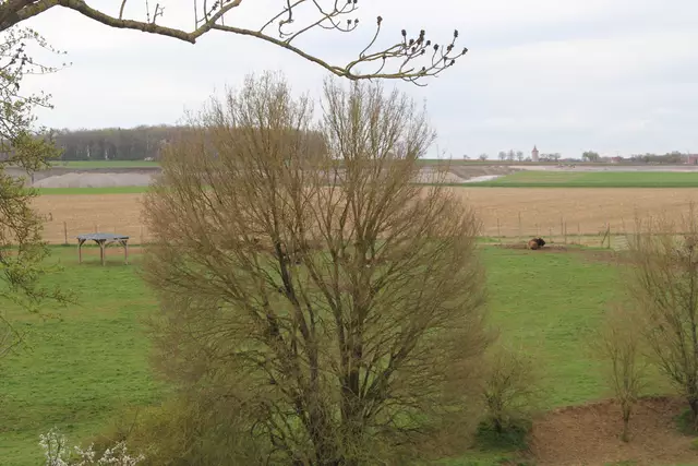 Bisons in Hohenlohe🦬🦬🦬 | Foto: Ralf Röser