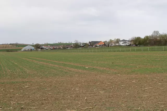 Bisons in Hohenlohe🦬🦬🦬 | Foto: Ralf Röser