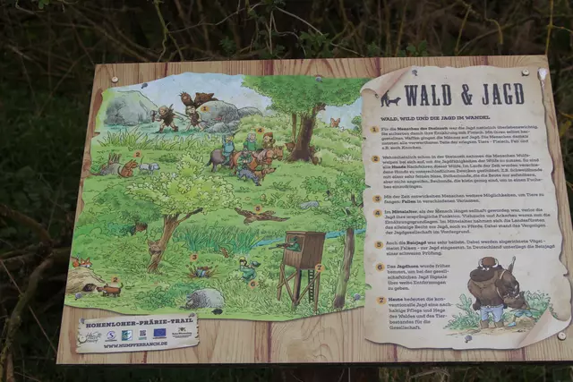 Bisons in Hohenlohe🦬🦬🦬 | Foto: Ralf Röser