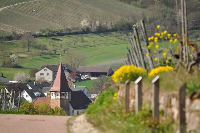 Blick auf die ev. Jokobuskirche in Haberschlacht. | Foto: Daniela Somers