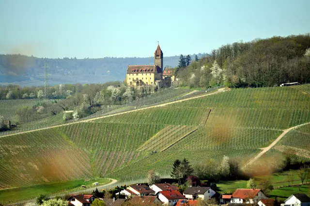 Einfach eine schöne Landschaft | Foto: Daniela Somers