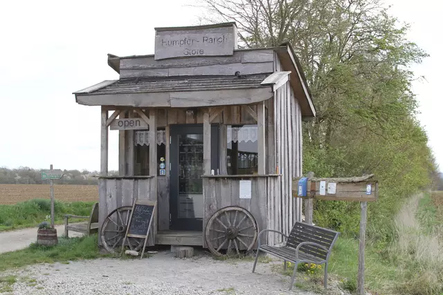Bisons in Hohenlohe🦬🦬🦬 | Foto: Ralf Röser