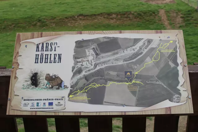 Bisons in Hohenlohe🦬🦬🦬 | Foto: Ralf Röser