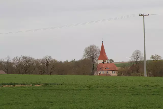 Bisons in Hohenlohe🦬🦬🦬 | Foto: Ralf Röser
