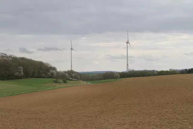 Bisons in Hohenlohe🦬🦬🦬 | Foto: Ralf Röser