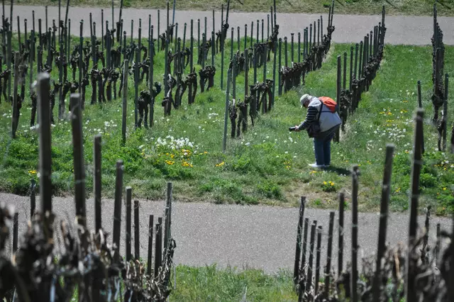 Was hier wohl gerade vor der Linse ist? | Foto: Daniela Somers