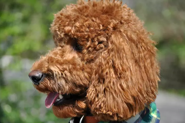 Mal schauen wo ich die letzten 2 Minuten noch nicht war. | Foto: Daniela Somers