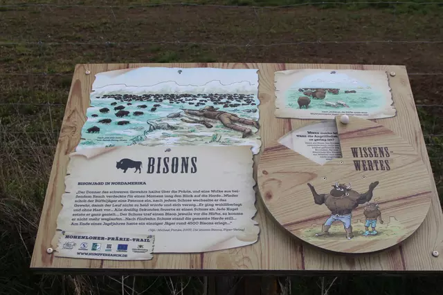 Bisons in Hohenlohe🦬🦬🦬 | Foto: Ralf Röser