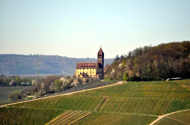 Im Herbst werde ich bestimmt wieder kommen und mir die Landschaft im Herbstkleid anschauen. | Foto: Daniela Somers
