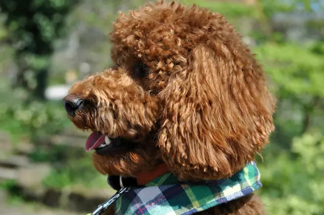 Was machen wir jetzt? | Foto: Daniela Somers