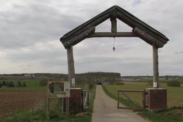 Bisons in Hohenlohe🦬🦬🦬 | Foto: Ralf Röser