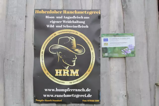 Bisons in Hohenlohe🦬🦬🦬 | Foto: Ralf Röser