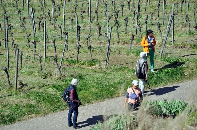 Man siehts. Es gibt überall was zu sehen für die Heimatreporter. | Foto: Daniela Somers
