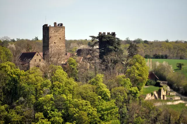 Blick zurück zur Burg Neipperg | Foto: Daniela Somers