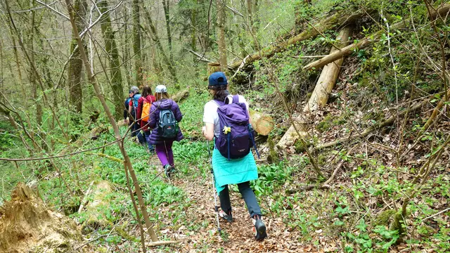 Urtümlicher Pfad nach Mistlau. | Foto: Isolde Reitz