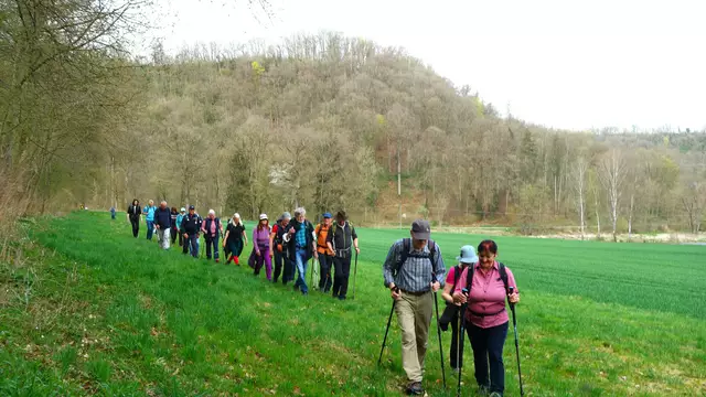 Am Waldrand entlang. | Foto: Isolde Reitz