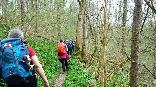 Auf dem Bärlauchtrail. | Foto: Isolde Reitz