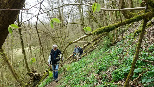 Weiter geht es im wildromantisch und naturgeschützten Gronachtal.  | Foto: Isolde Reitz