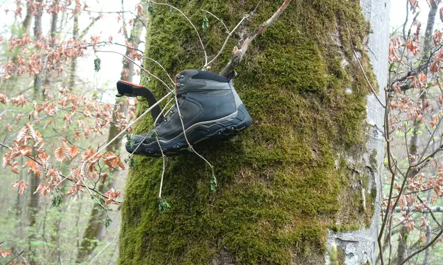 Auch sowas findet man unterwegs! | Foto: Isolde Reitz