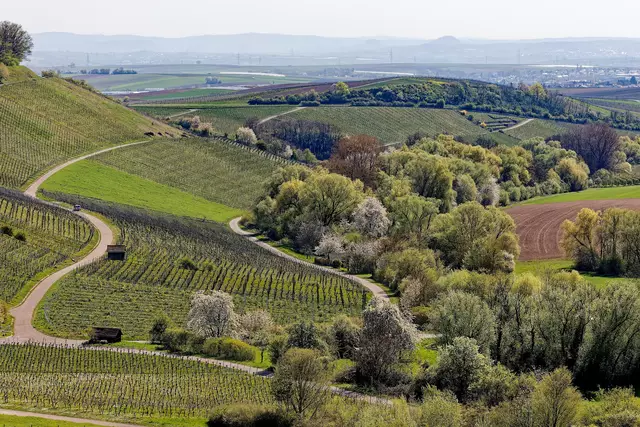 Landschaft gibt's in der Gegend auch reichlich | Foto: WKY