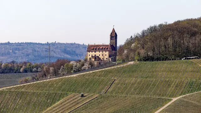 Foto: WKY
