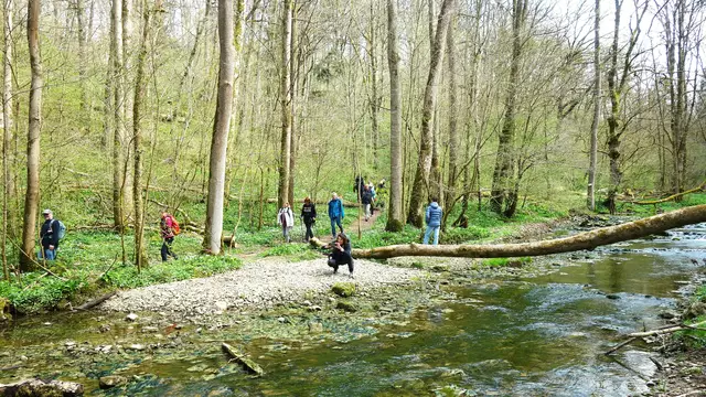 Wir sind an der Gronach angekommen. | Foto: Isolde Reitz