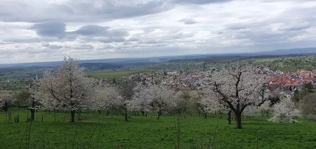 ... ist das schön oder ist das schön? | Foto: privat Sibylle Tröber