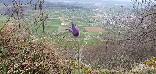 Aussicht vom Bruckerfels | Foto: privat Sibylle Tröber