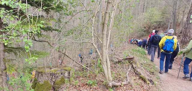 Weiter geht's durch den Bärlauchwald. | Foto: privat Sibylle Tröber
