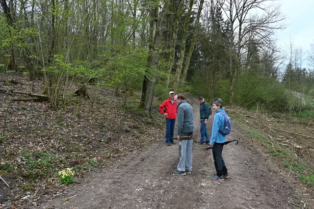 Eine Miniwandergruppe machte sich auf zu Wanderung ums Kirschblütenfest. | Foto: Michael Harmsen
