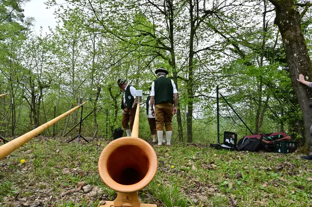 Ganz schön lang so ein Alphorn. | Foto: Michael Harmsen