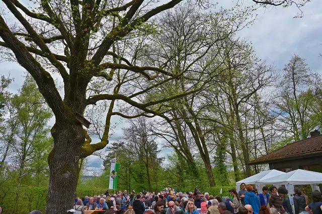 Der Platz unter der Bismarckeiche war brechend voll. | Foto: Michael Harmsen