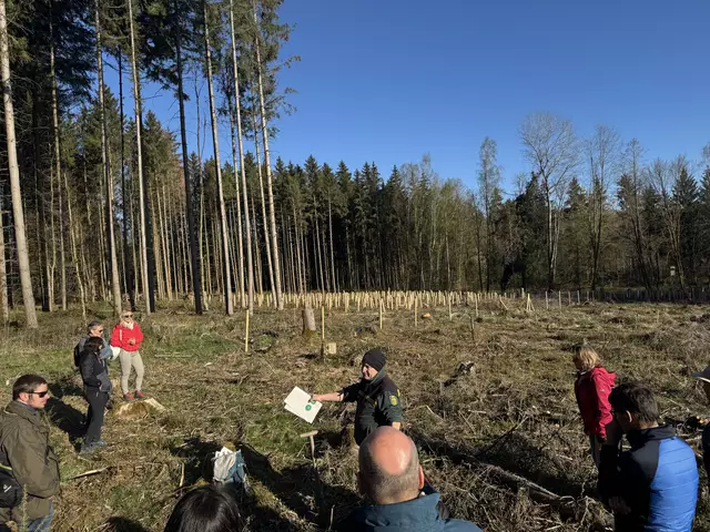 Foto: Abt. Ingelfingen