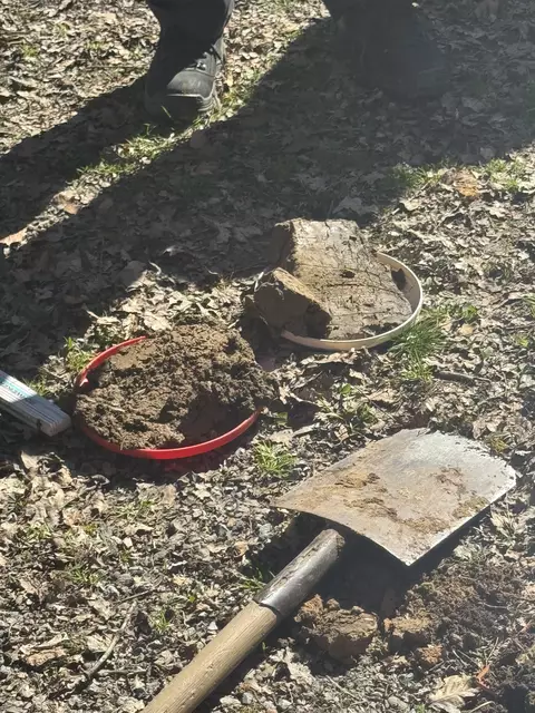 Foto: Abt. Ingelfingen