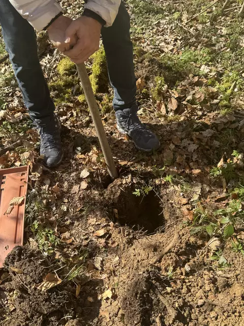 Foto: Abt. Ingelfingen