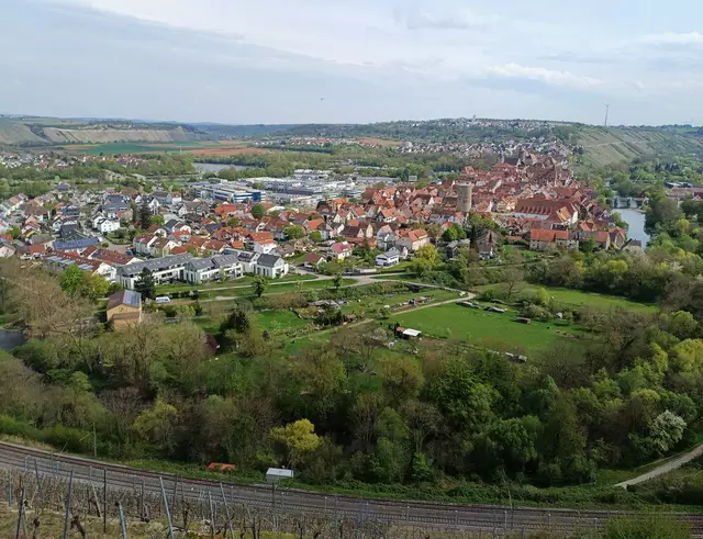 Blick nach Besigheim | Foto: E. Rosendorf