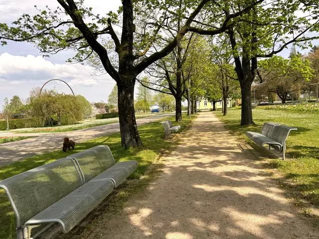 Foto: Heide Böllinger aus Bad Friedrichshall