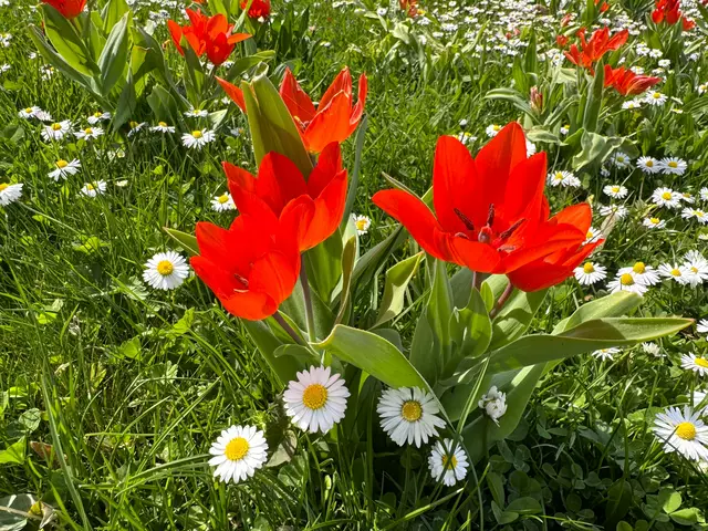 Foto: Heide Böllinger aus Bad Friedrichshall