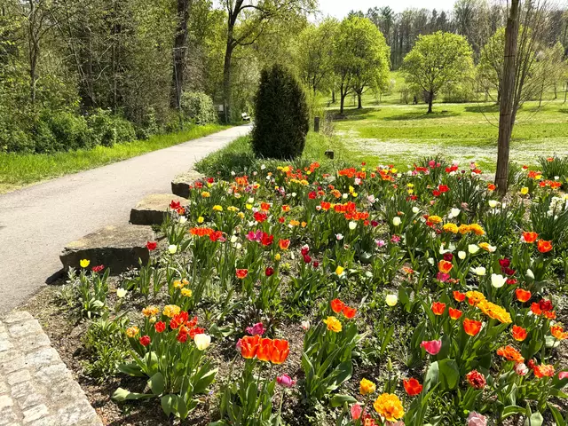 Foto: Heide Böllinger aus Bad Friedrichshall