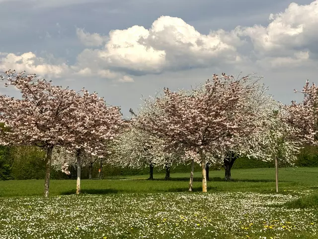 Foto: Heide Böllinger aus Bad Friedrichshall