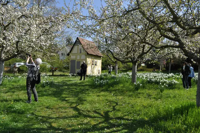 Und so sieht es aus wenn Heimatreporter den Frühling einfangen. | Foto: Daniela Somers