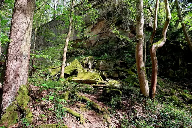 Foto: Eduard Warenik