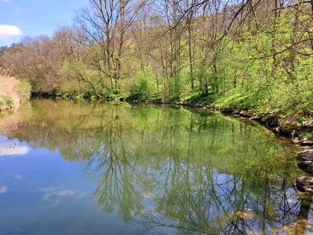 Jagst bei Krautheim | Foto: Andreas Odey
