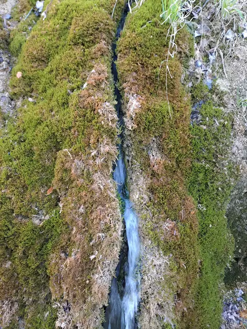 Geologisches Kleinod....kalkhaltiges Wasser bildet durch Versinterung eine Rinne, dabei wird Kalktuff ausgeschieden und versteinert Moose. | Foto: Andreas Odey