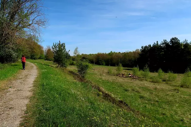 Foto: Eduard Warenik